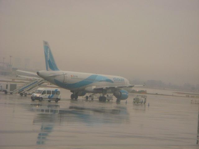 IMG_3391.jpg